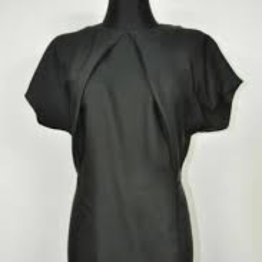 Acne Dress NWT